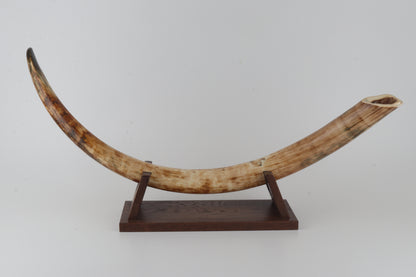 Natural woolly mammoth tusk