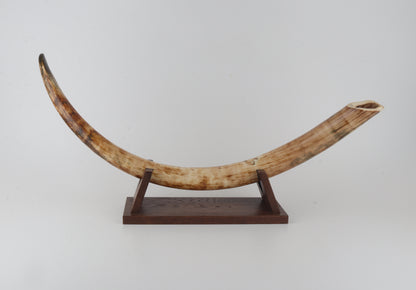 Natural woolly mammoth tusk