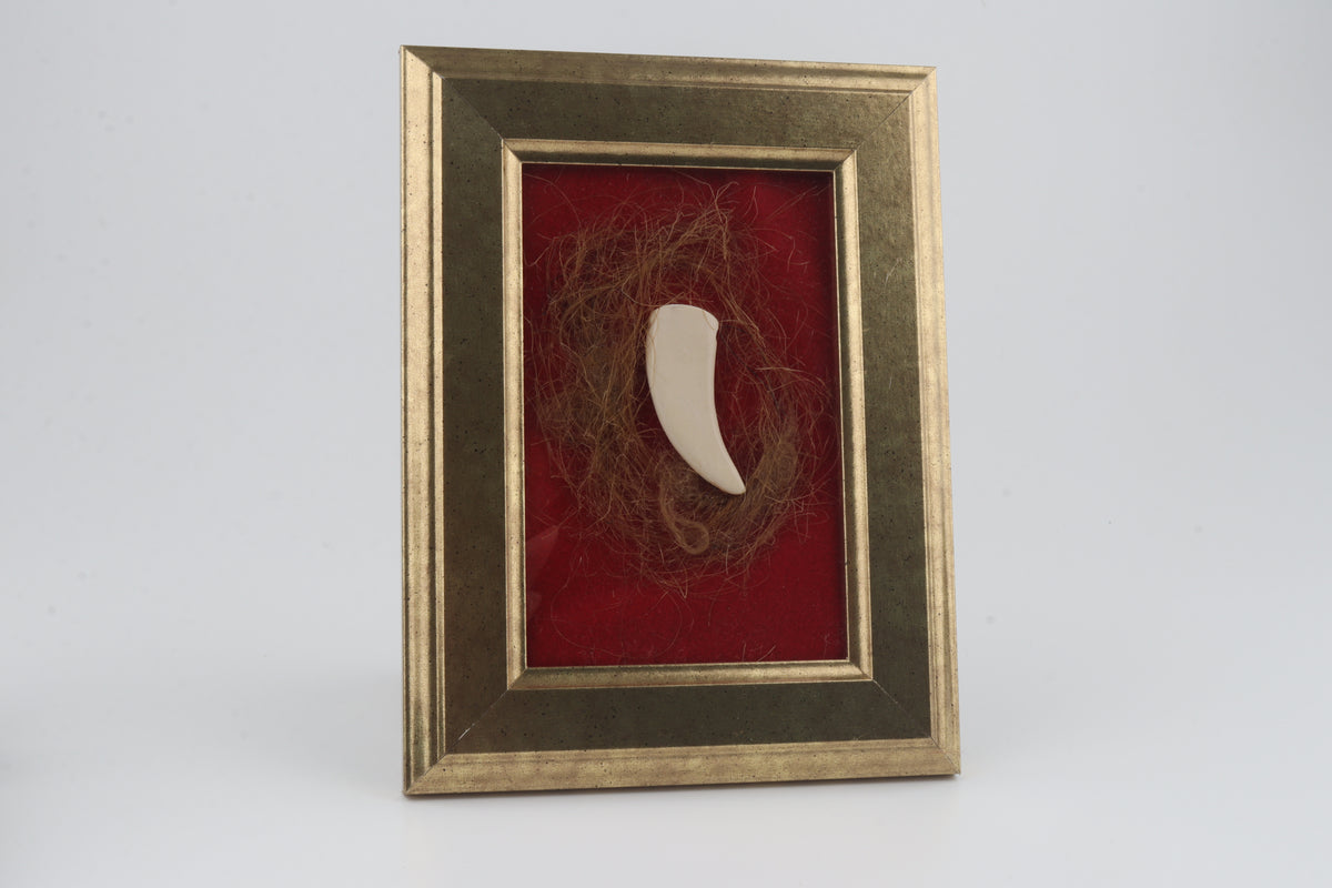 Woolly Mammoth Hair & Carved Mammoth Ivory Pendant