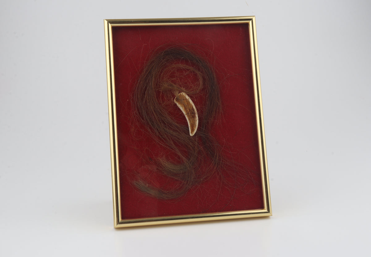 Woolly Mammoth Hair & Carved Mammoth Ivory Pendant