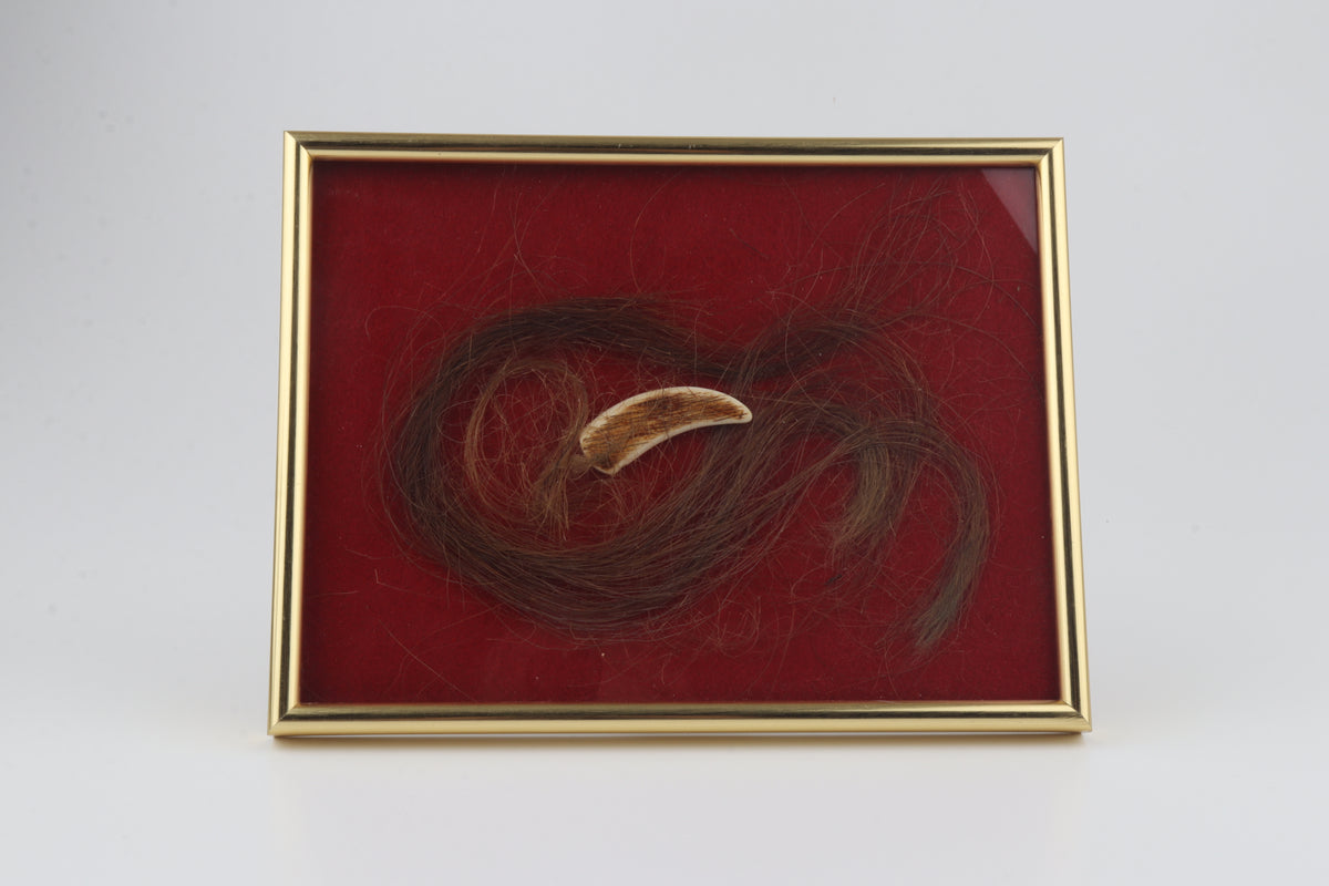 Woolly Mammoth Hair & Carved Mammoth Ivory Pendant
