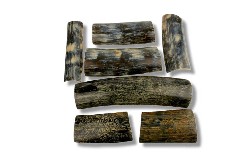 Bark