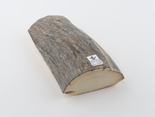 Natural woolly mammoth ivory piece