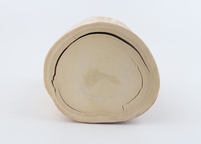 Round mammoth ivory piece