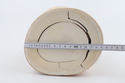 Round mammoth ivory piece