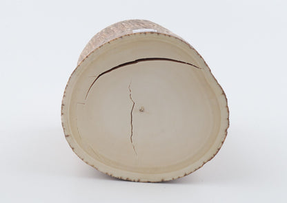Round mammoth tusk piece
