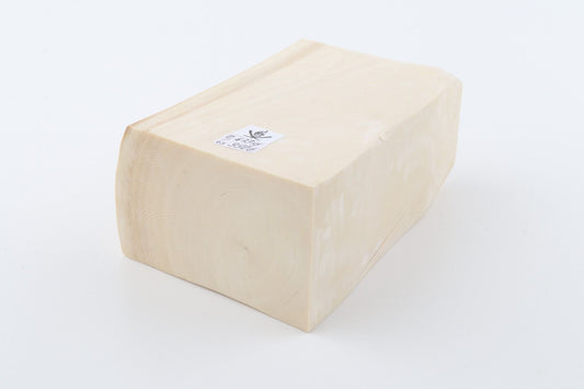 White mammoth ivory segment