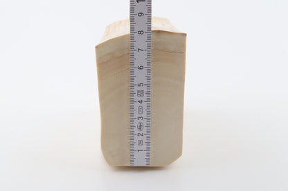 White mammoth ivory segment
