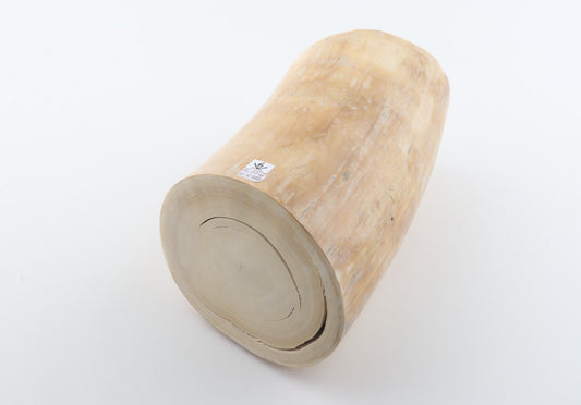 Round mammoth tusk piece