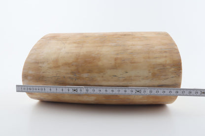 Round mammoth tusk piece