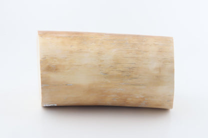 Round mammoth tusk piece