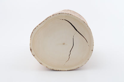 Round mammoth tusk piece