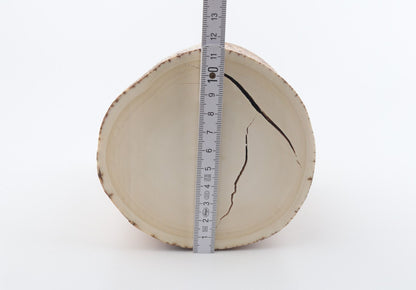 Round mammoth tusk piece