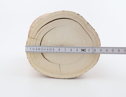 Round mammoth tusk piece
