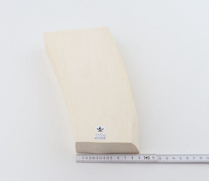 White mammoth ivory segment
