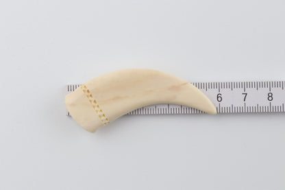 Carved mammoth ivory pendant