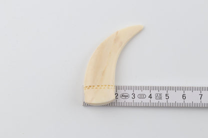Carved mammoth ivory pendant