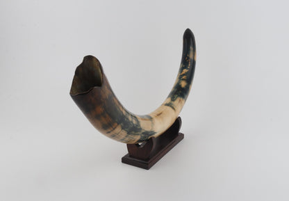 Restored woolly mammoth tusk