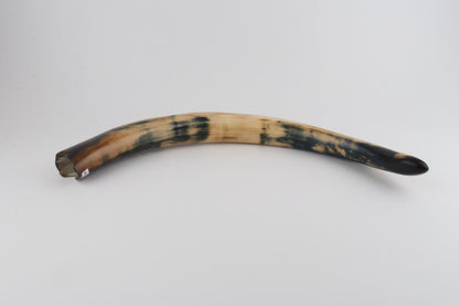 Restored woolly mammoth tusk