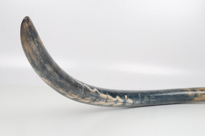 Natural mammoth tusk