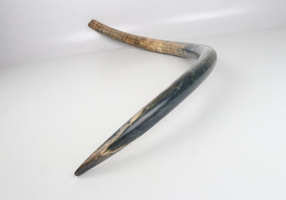 Natural mammoth tusk