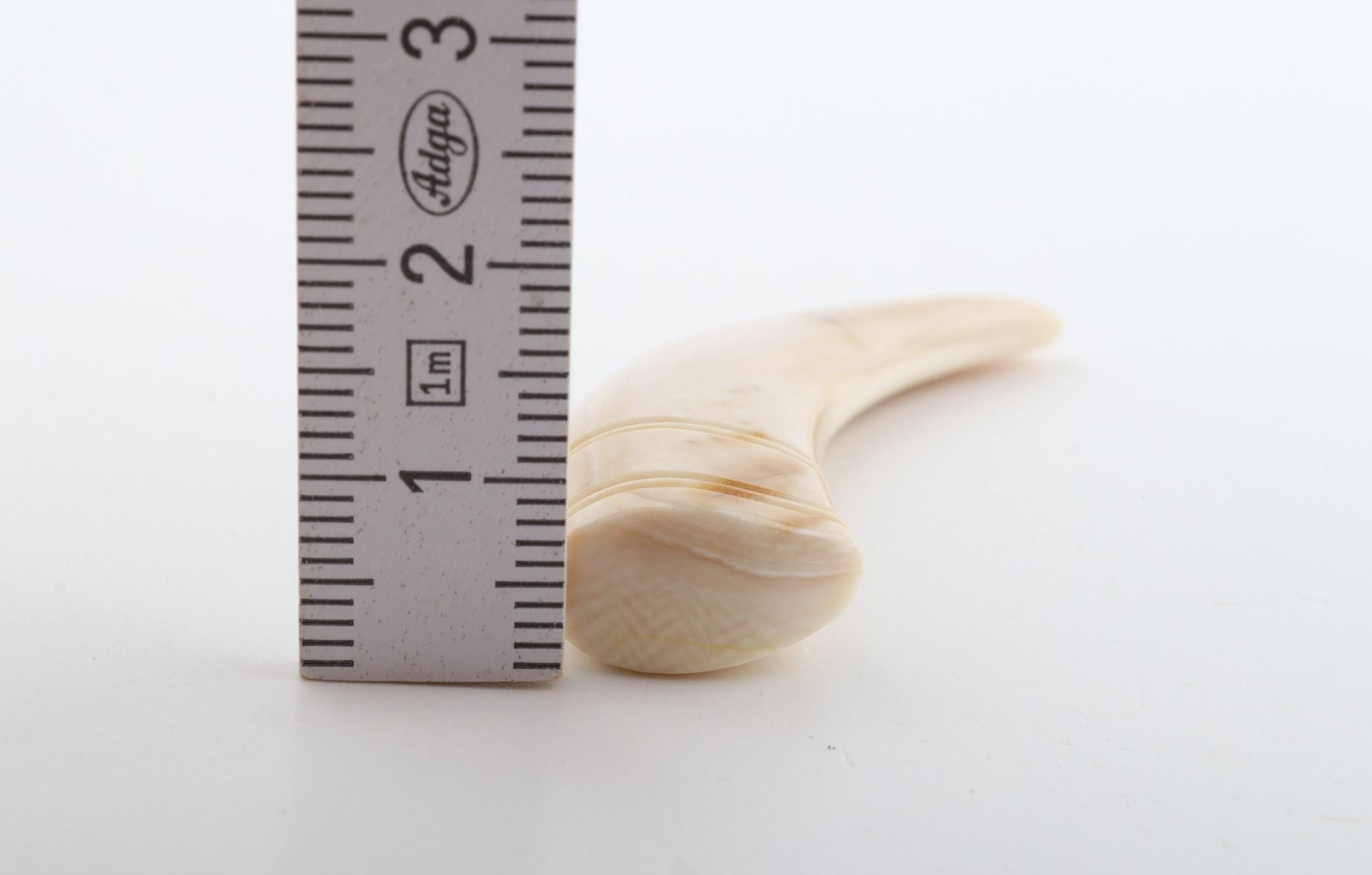 Carved mammoth ivory pendant