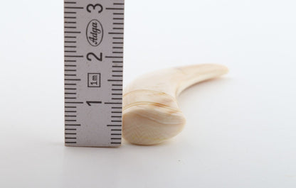 Carved mammoth ivory pendant