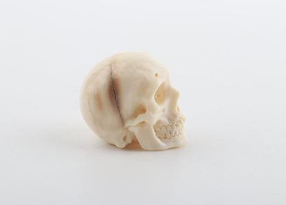 Hand carved mammoth ivory skull