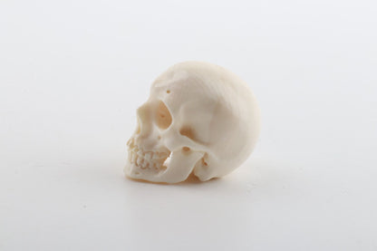 Hand carved mammoth ivory skull