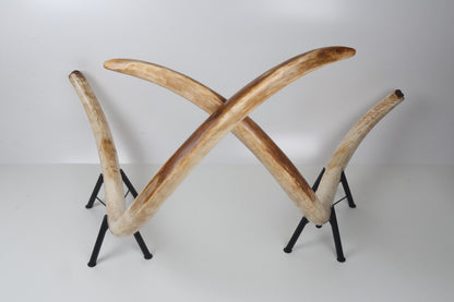 Natural woolly mammoth tusk pair
