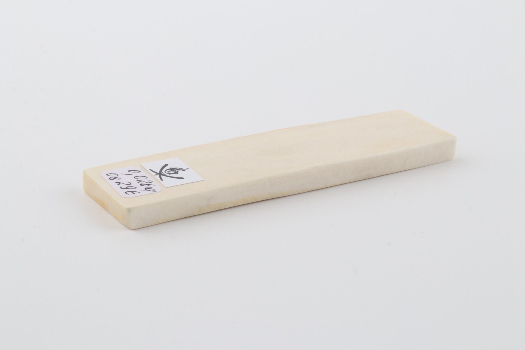 White mammoth ivory segment