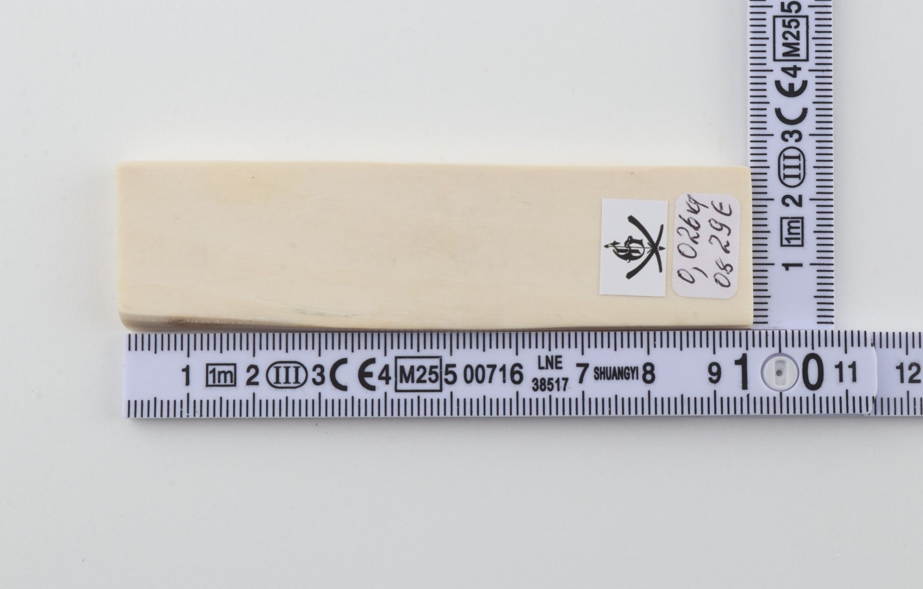 White mammoth ivory segment