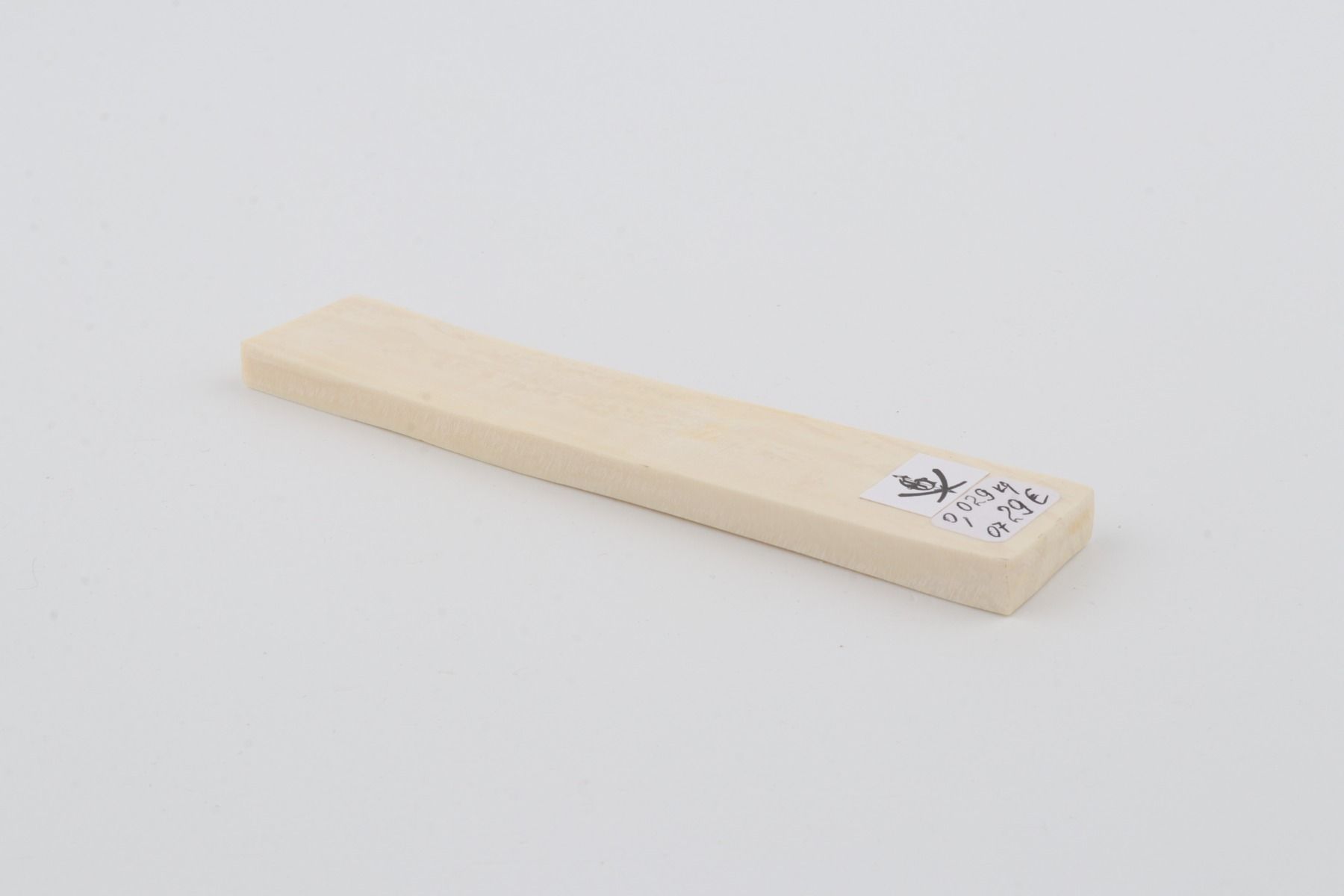White mammoth ivory segment