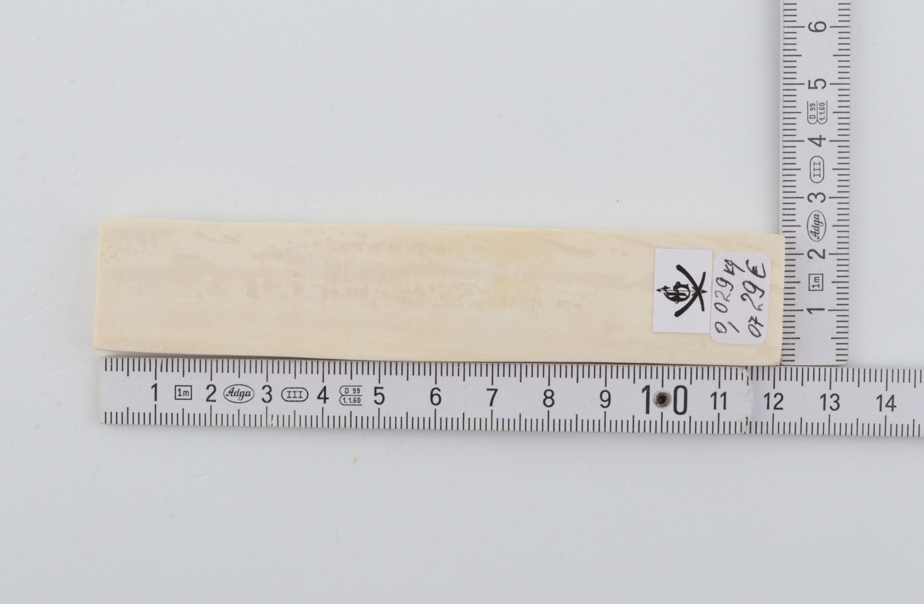 White mammoth ivory segment