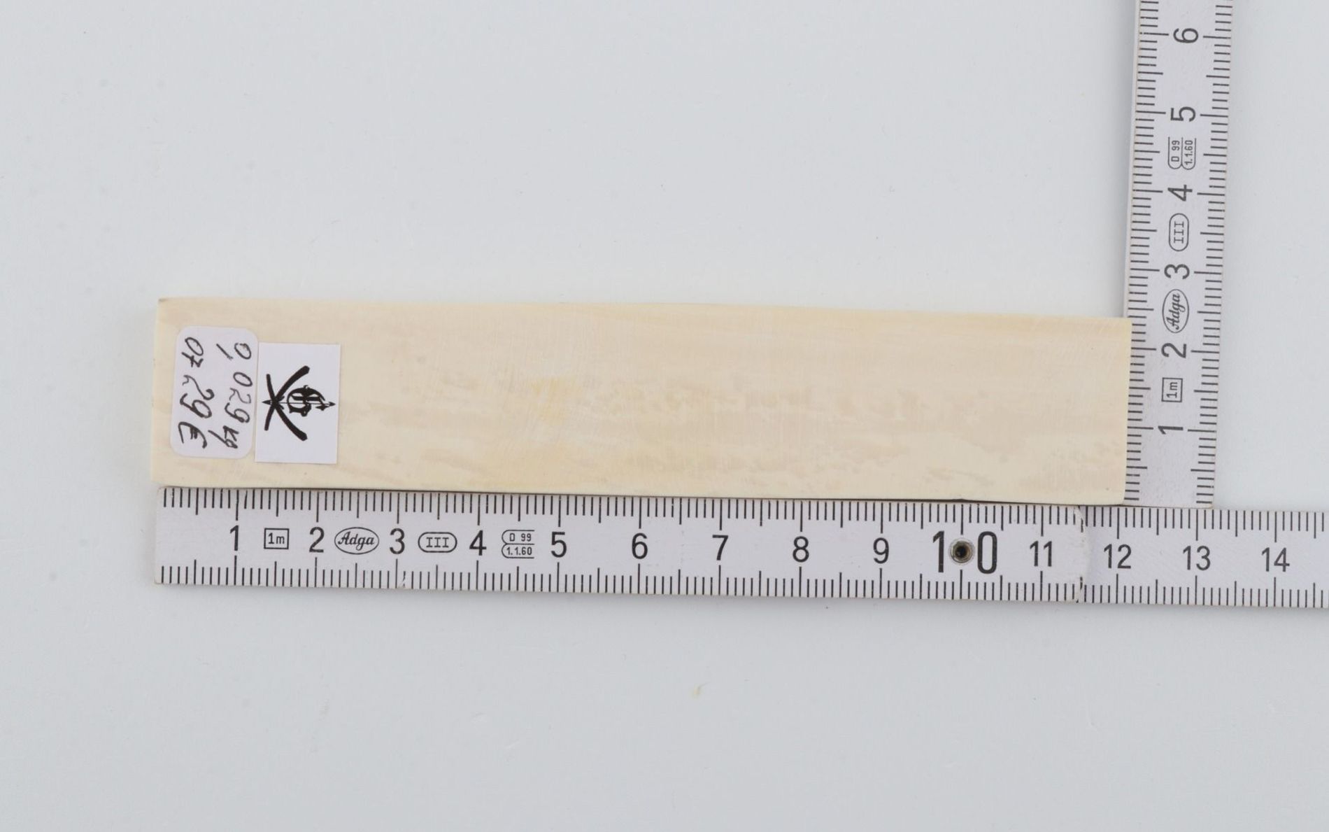 White mammoth ivory segment