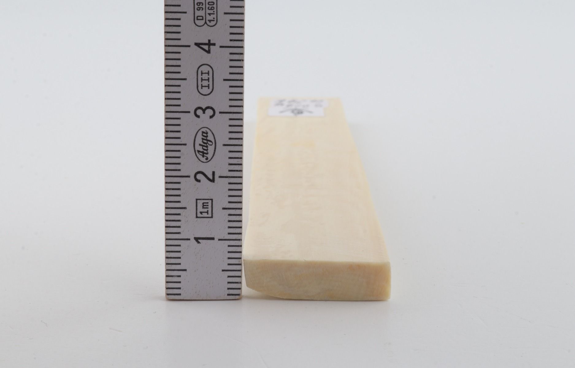 White mammoth ivory segment