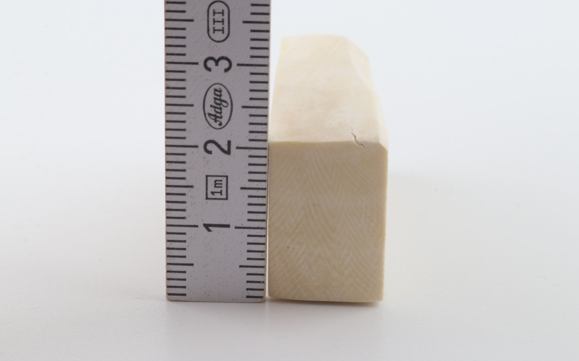 White mammoth ivory segment