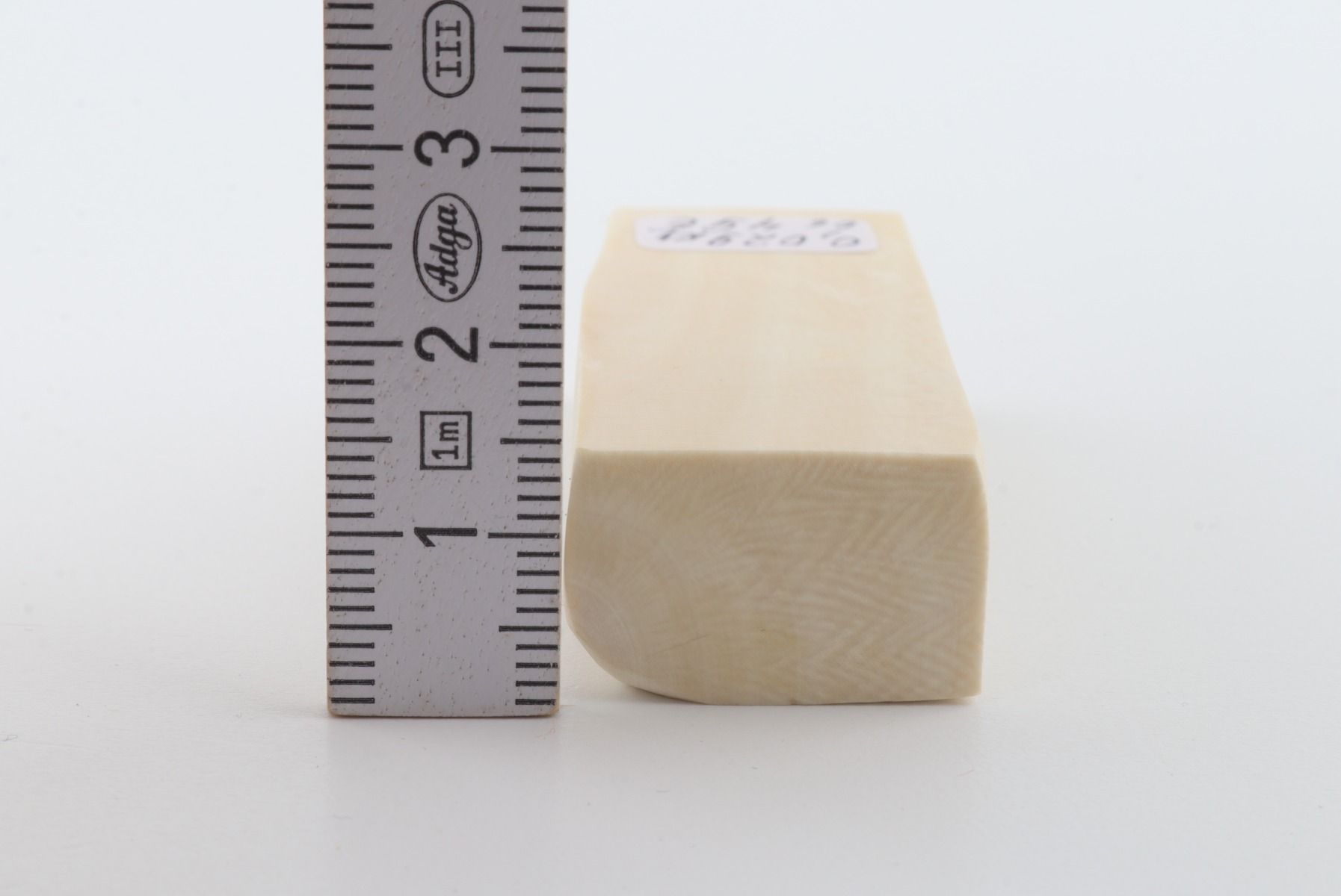 White mammoth ivory segment
