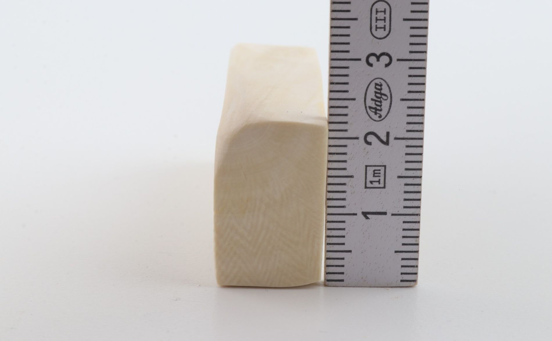 White mammoth ivory segment