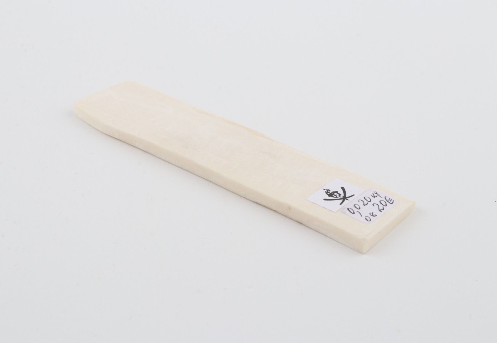 White mammoth ivory segment