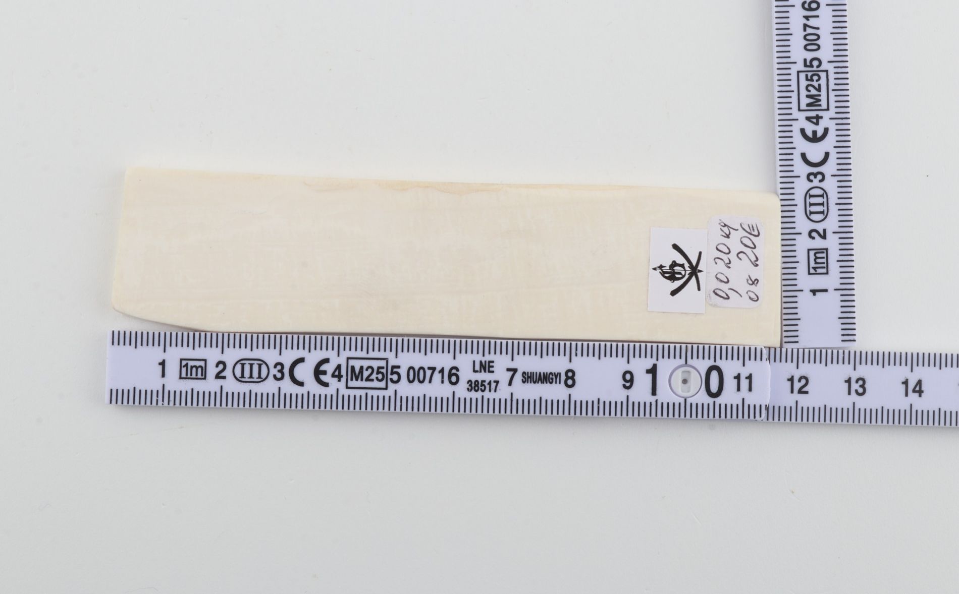 White mammoth ivory segment