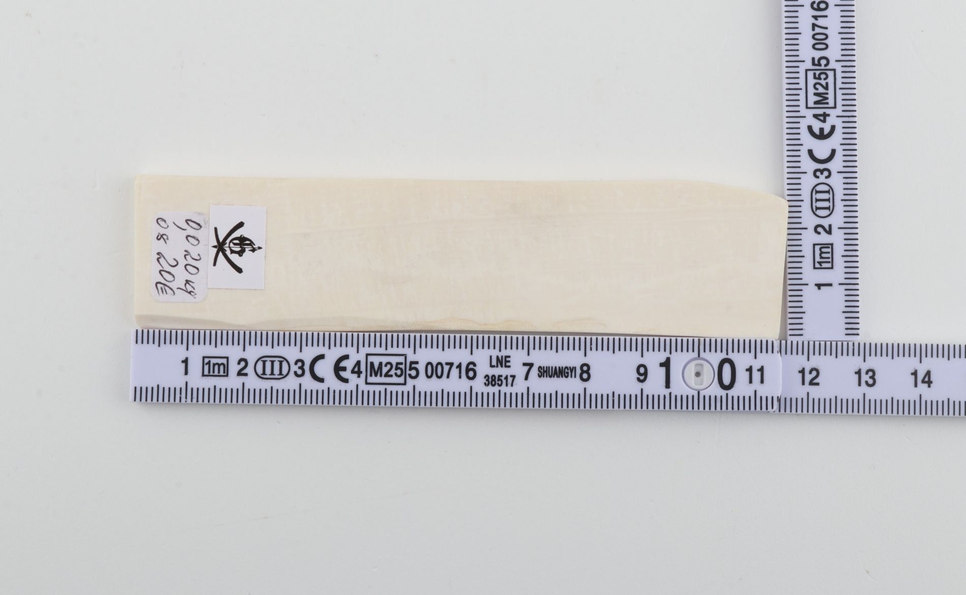 White mammoth ivory segment