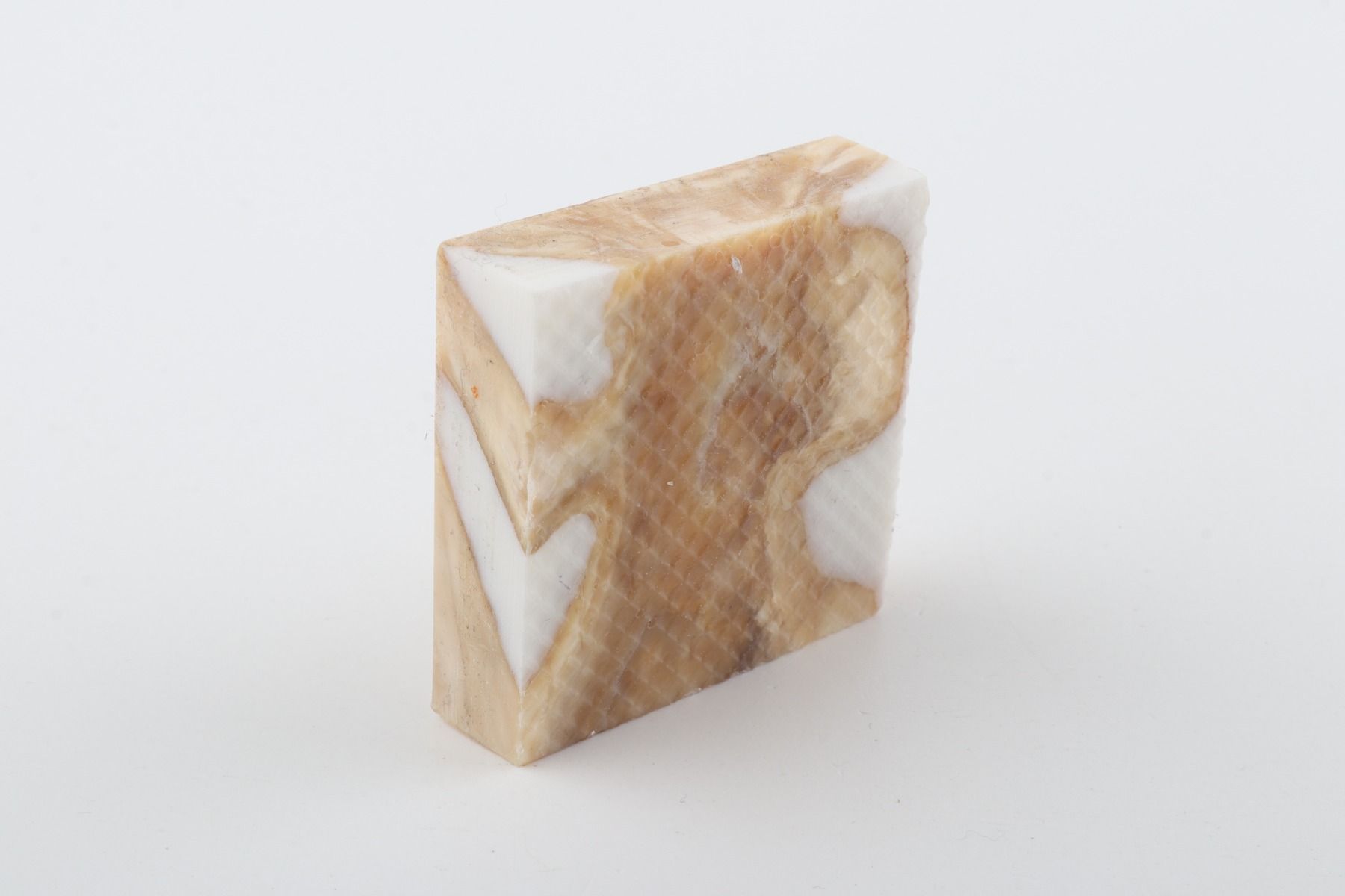 Stabilized mammoth molar piece