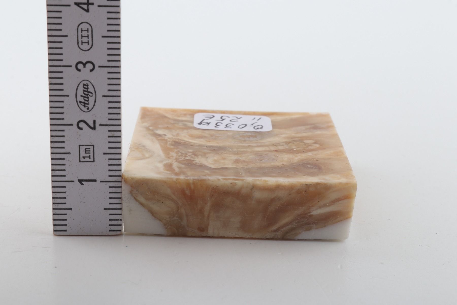 Stabilized mammoth molar piece