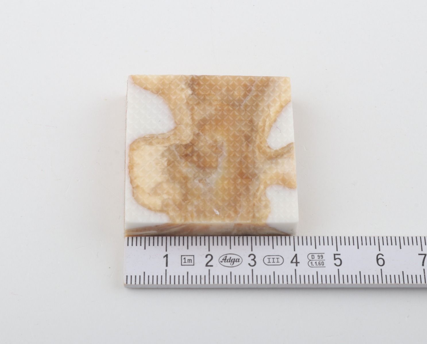 Stabilized mammoth molar piece
