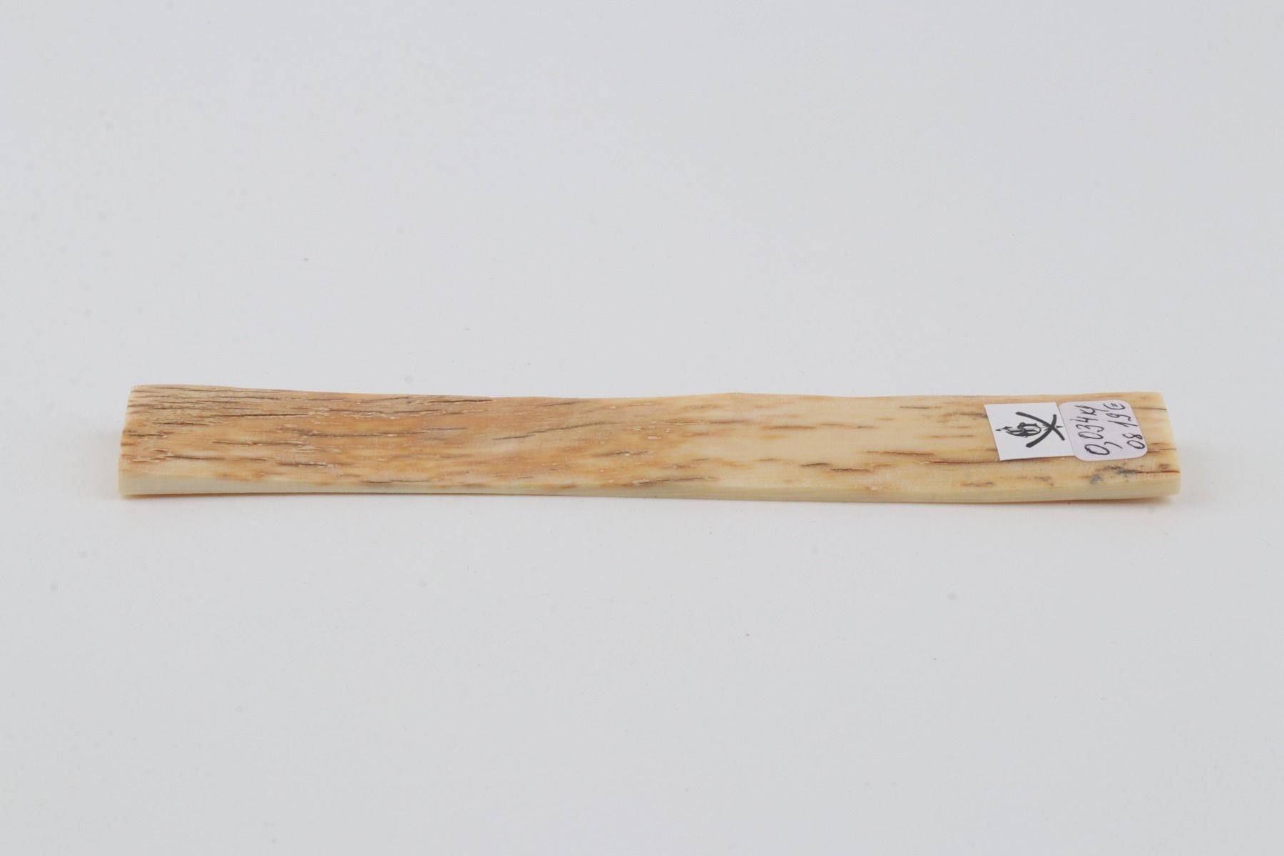 Creme-orange mammoth bark