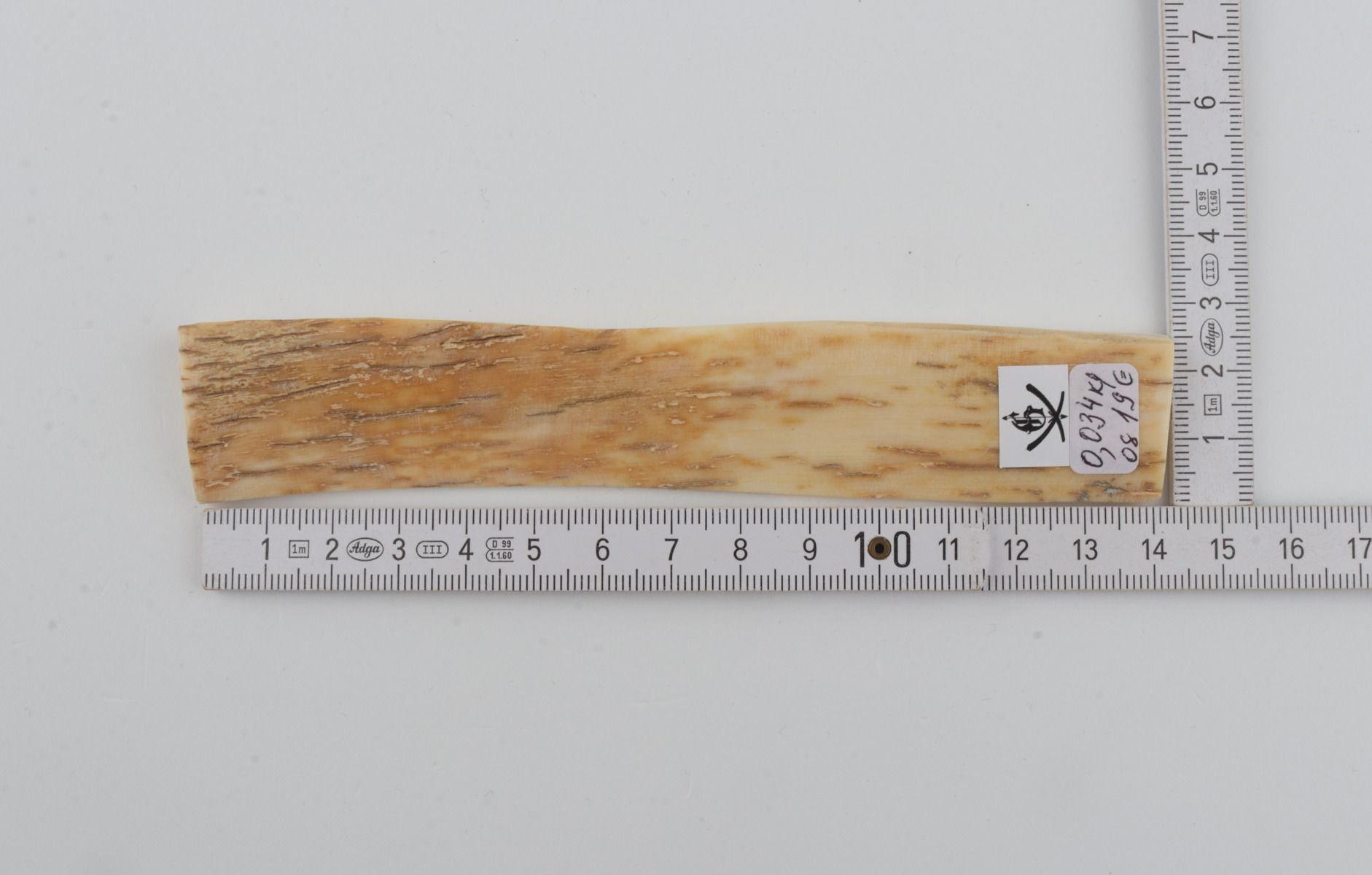 Creme-orange mammoth bark