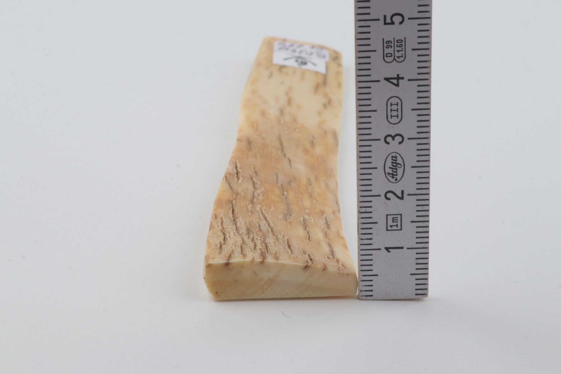 Creme-orange mammoth bark