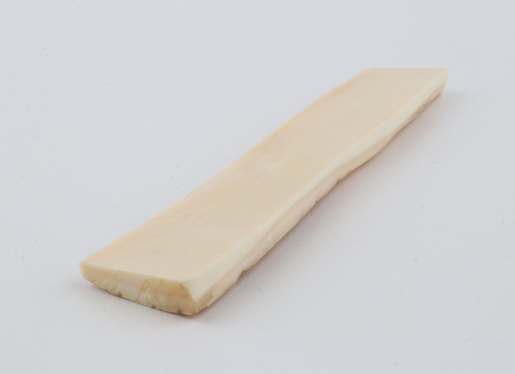 Creme-orange mammoth bark