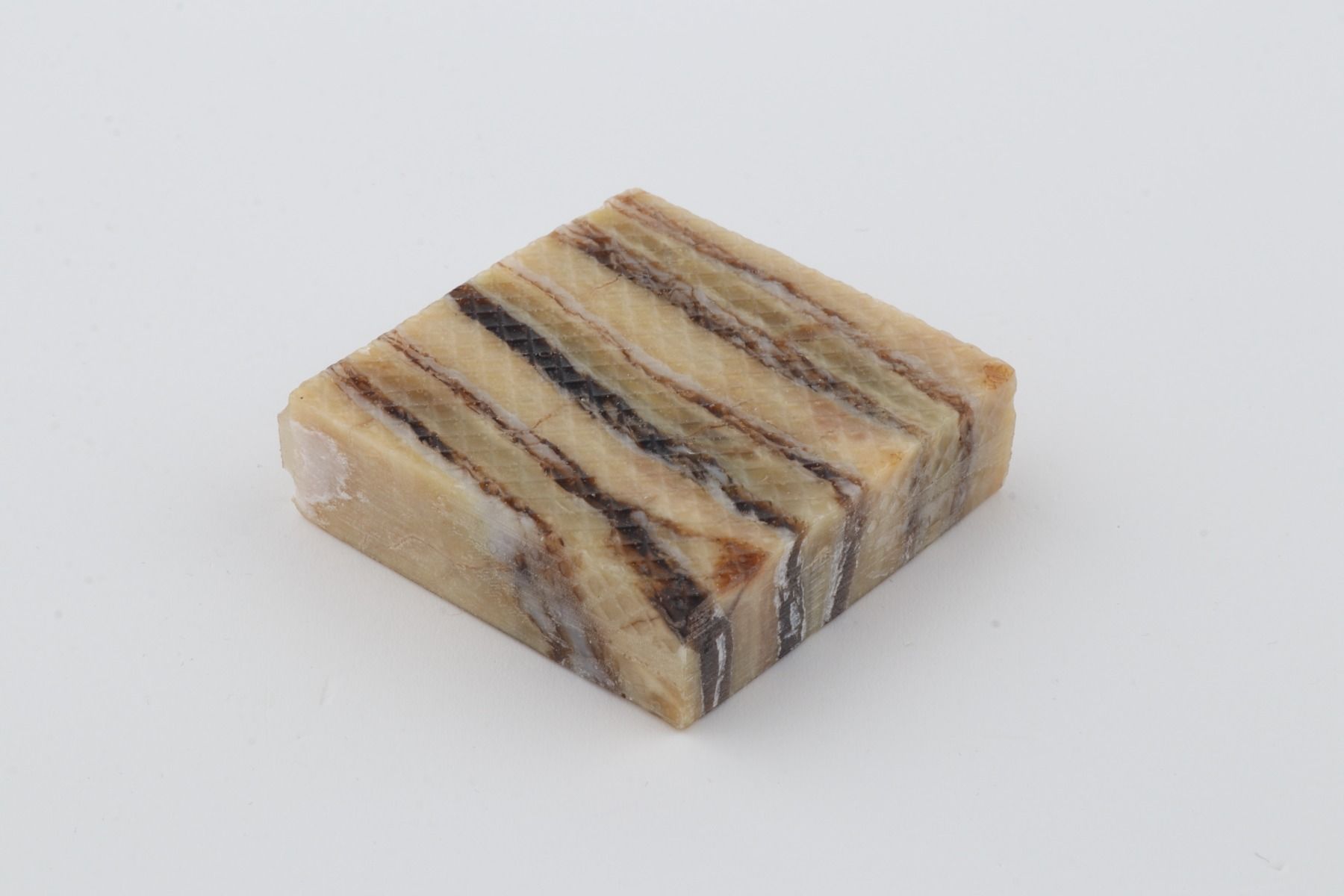 Stabilized mammoth molar piece